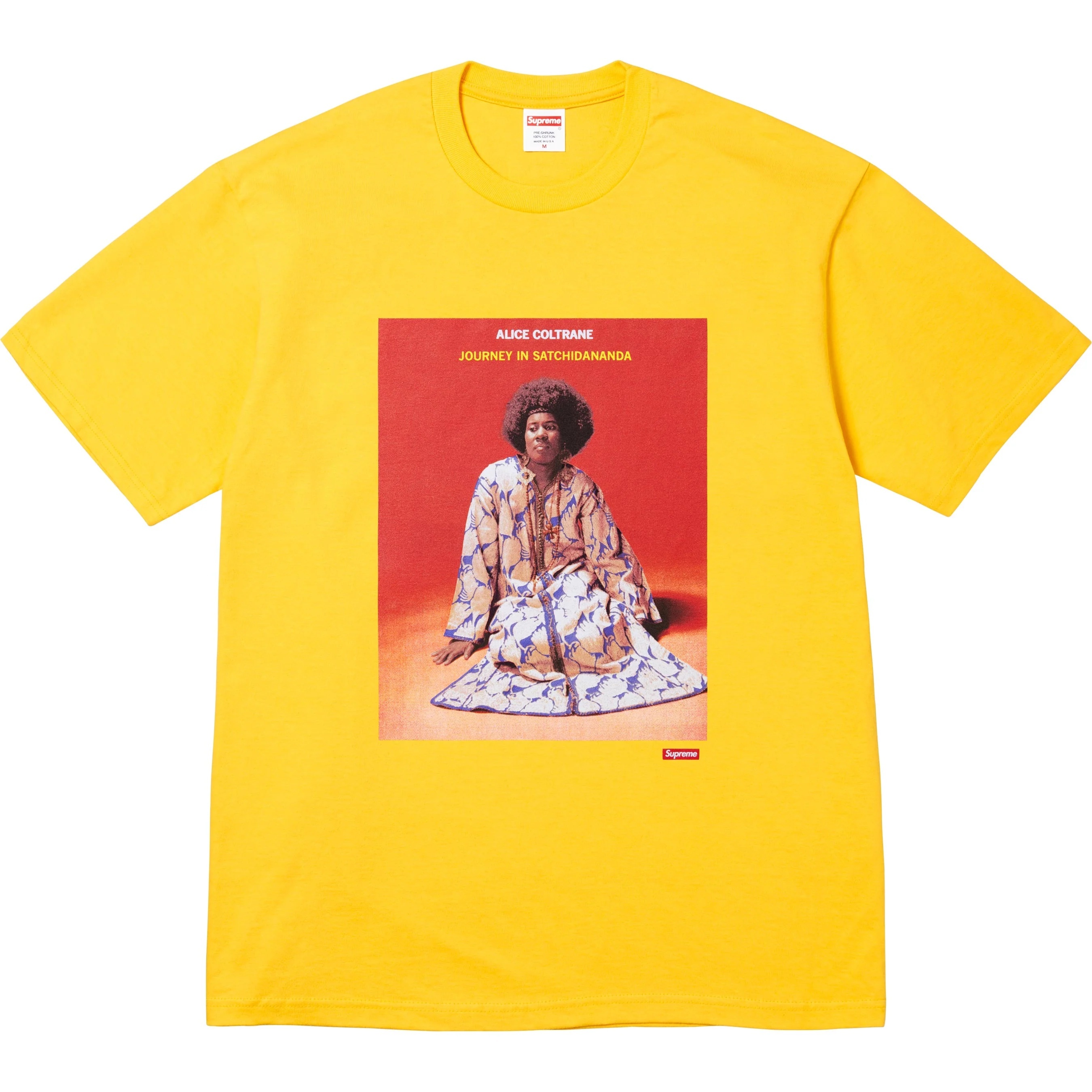 Satchidananda Tee view 2